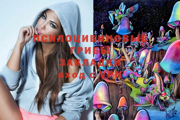 дживик Семикаракорск