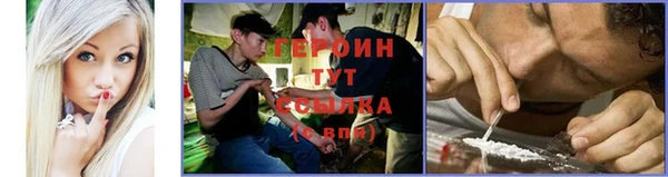 индика Данков