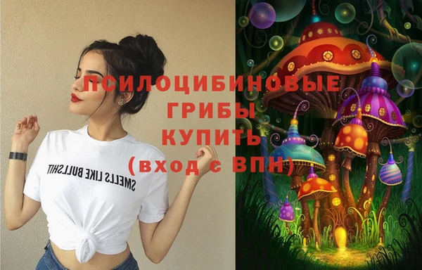 дживик Семикаракорск