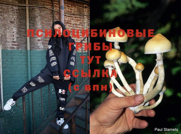 экстази Семилуки