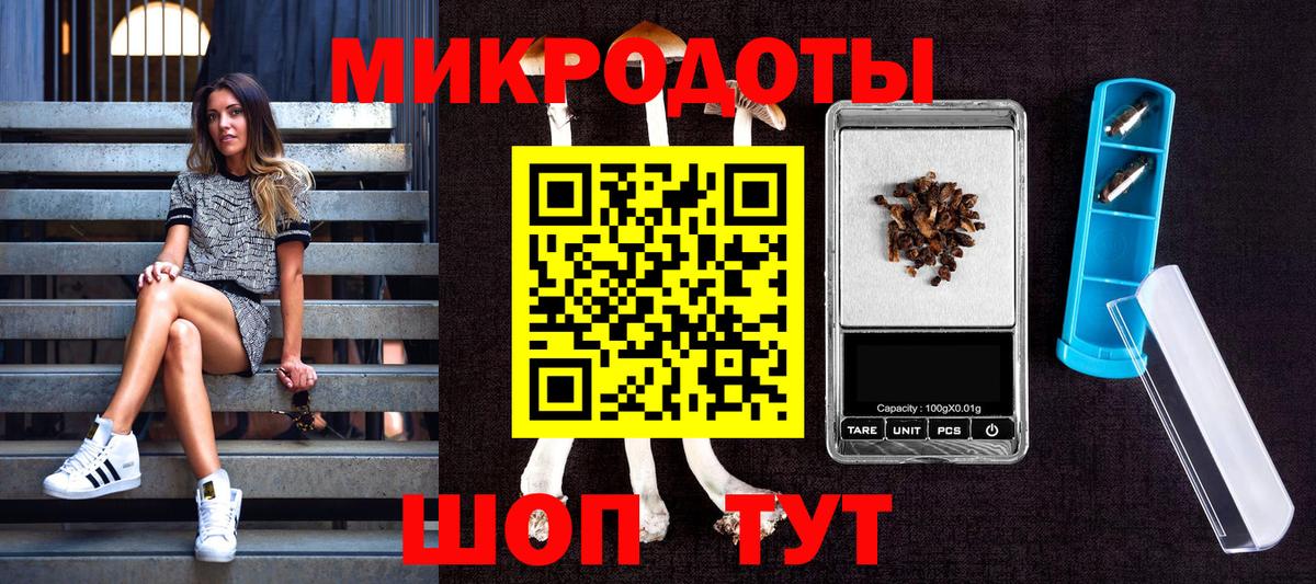 Псилоцибиновые грибы GOLDEN TEACHER Рыбинск